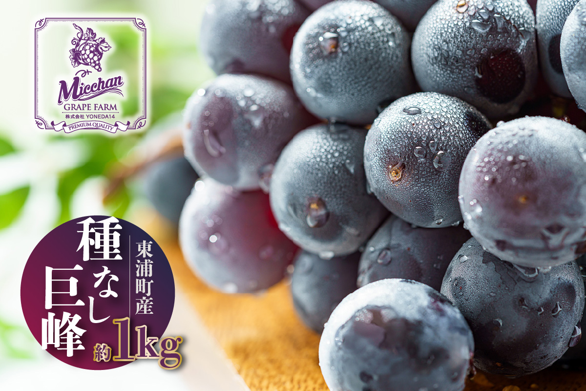 【先行予約】【2026年8月発送】東浦町産 種なし巨峰・約1kg