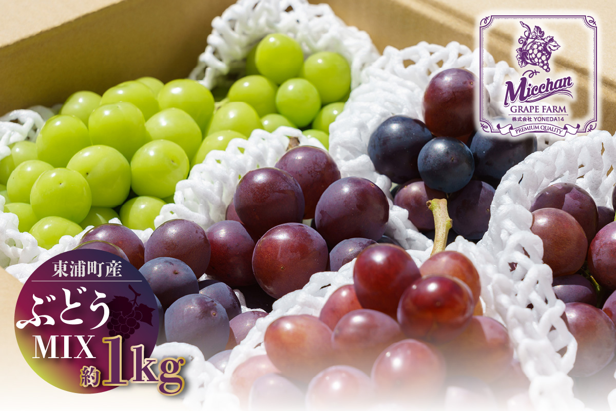 【先行予約】【2026年8月発送】東浦町産 ぶどうMIX・約1kg