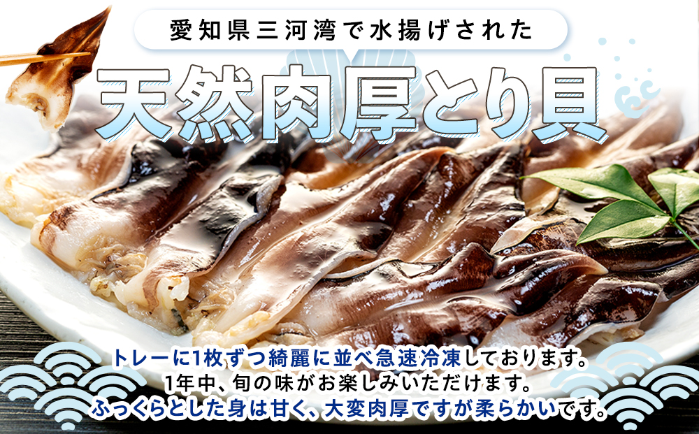 岬だよりの＜天然＞肉厚とり貝お刺身 とり貝＜特大9枚入り＞2セット