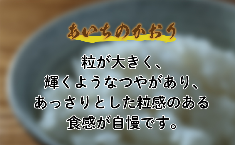 知多米 あいちのかおり 5kg 米 愛知  知多 特産品 南知多