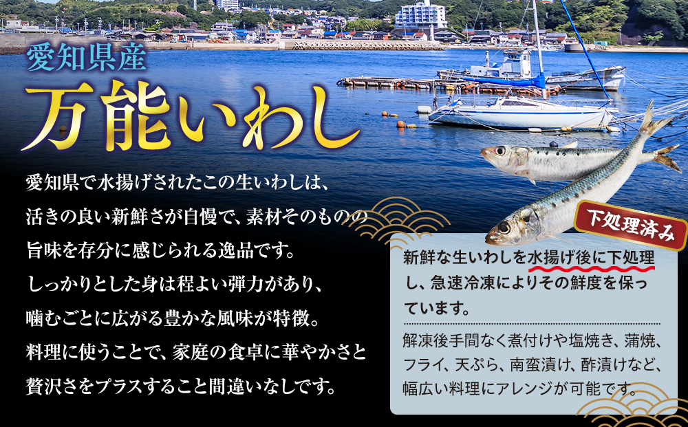 万能いわし 8匹 (約160g~180g) × 10袋 下処理済み