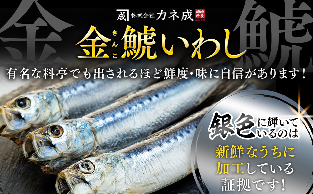 いわし 丸干し 24尾 ( 8尾 × 3 パック ) 干物 冷凍 小分け 愛知県 南知多町 ご飯 ごはん おかず おつまみ 魚 さかな 鰯 金鯱 イワシ 栄養 料理 国産 カネ成 人気 おすすめ