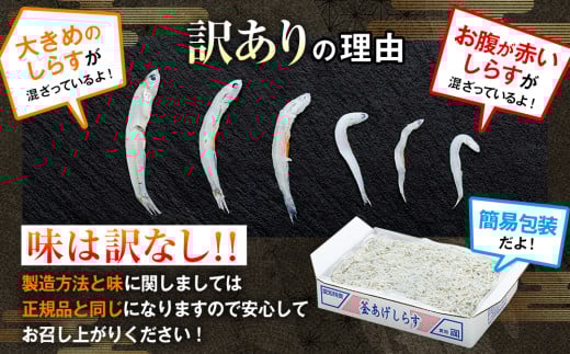 訳あり 釜揚げ しらす 1kg (1箱) 小分け 減塩 無添加 無着色 冷凍 愛知県 南知多町 ご飯 ごはん 丼 料理 国産 カネ成 シラス 人気 おすすめ
