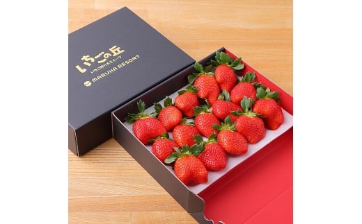 まるは食堂 マルハリゾート いちごの丘『いちご狩り』小学生用ご招待券(1名様用) いちご いちご狩り 章姫 かおり野 甘い 完熟 新鮮 穫れたて 香り豊か 自然