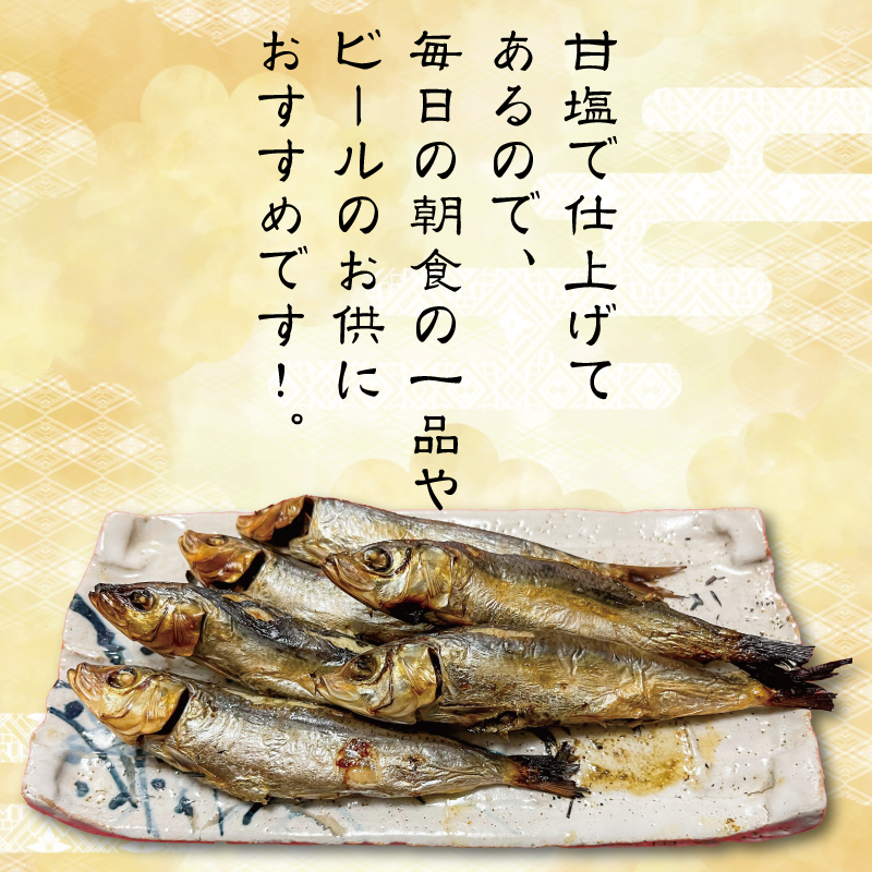 いわし 丸干し 訳あり 2kg イワシ いわし イワシ