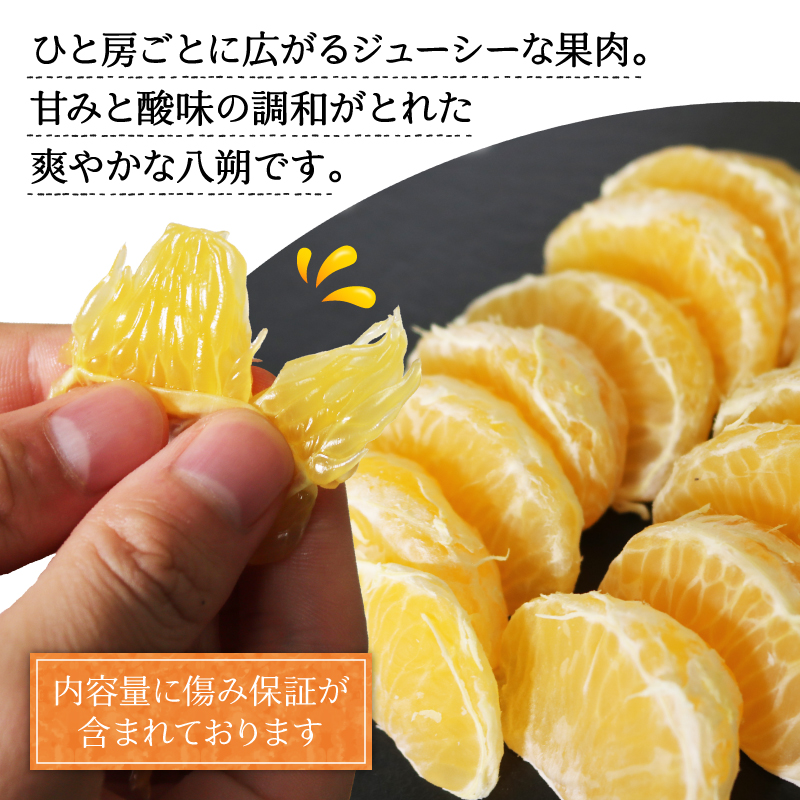 訳あり 八朔 約2kg 南知多町産 はっさく 愛知県