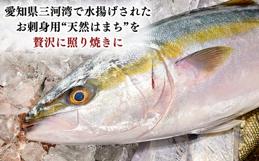 岬だよりの 天然はまちの醤油漬け 5袋セット＜個包装＞