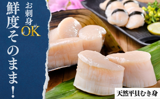 先行予約3月~ 岬だよりの＜愛知県産＞平貝セット