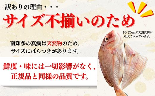 訳あり 天然 真鯛 金目鯛 10枚 食べ比べ セット 各5枚 国産 干物 岬だより 愛知県 南知多町 人気 おすすめ