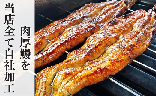 【三河一色産】秘伝のタレ付き ひつまぶし 鰻 3袋 きざみ蒲焼・出汁パック付き 岬だより 愛知県 南知多町 人気 おすすめ