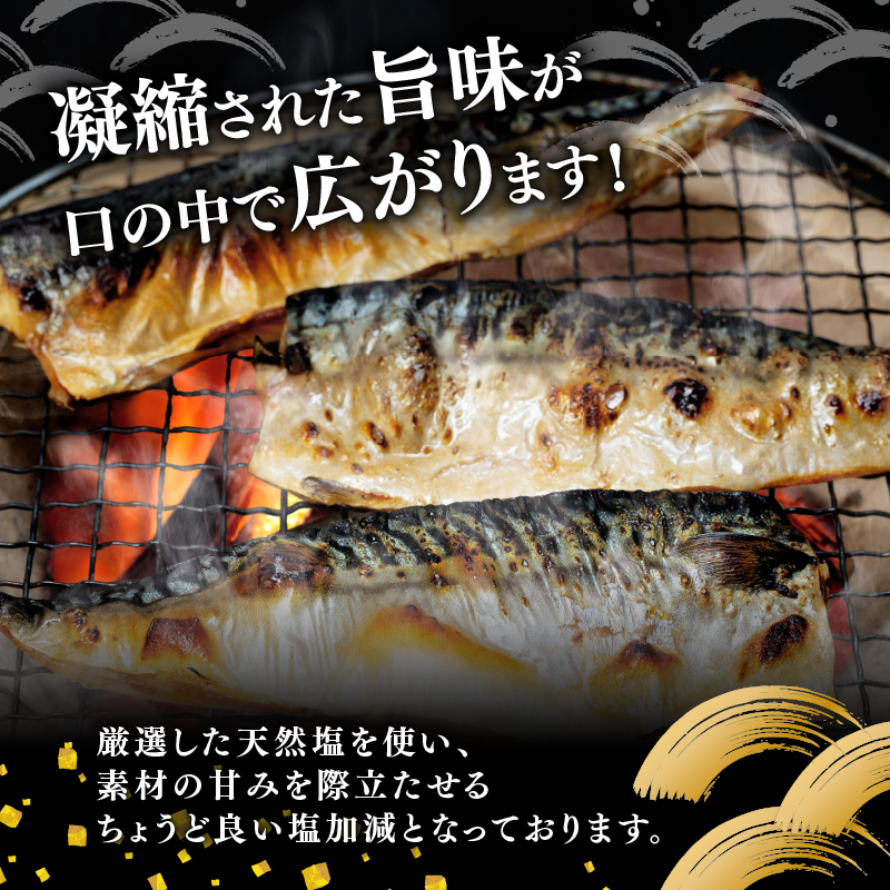 訳あり塩サバ フィレ500g