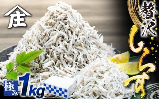 【定期便 3回】南知多のうまいもの定期便 Cセット 毎月 3回 しらす 1kg エビフライ 12本 クラフトビール 4本