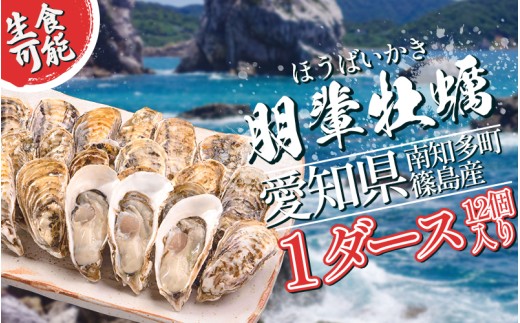 【定期便 3回】南知多のうまいもの定期便 Dセット 毎月 3回 生牡蠣 1ダース 牛肉 800g クラフトビール 6本