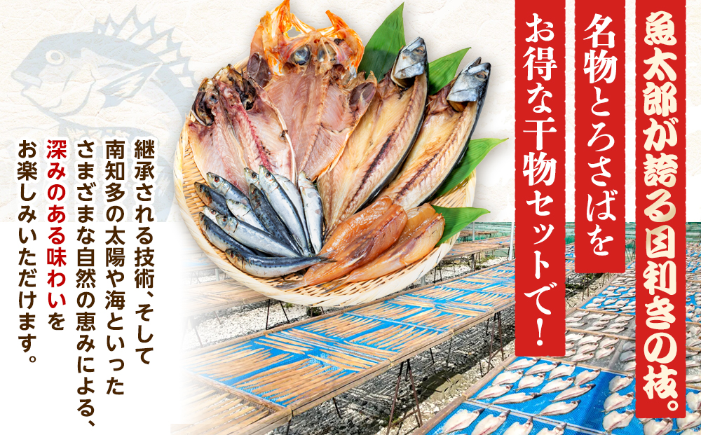 魚太郎名物 自家製とろさば入り 干物セット サバ 鯖 とろ鯖 鯛 たい