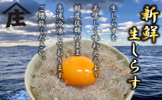 生しらす 200g 訳ありしらす干し 500g セット 冷凍 刺身 真空パック しらす干し 炒飯 パスタ ごはん 丼 サラダ 魚 料理 愛知県 南知多町 師崎