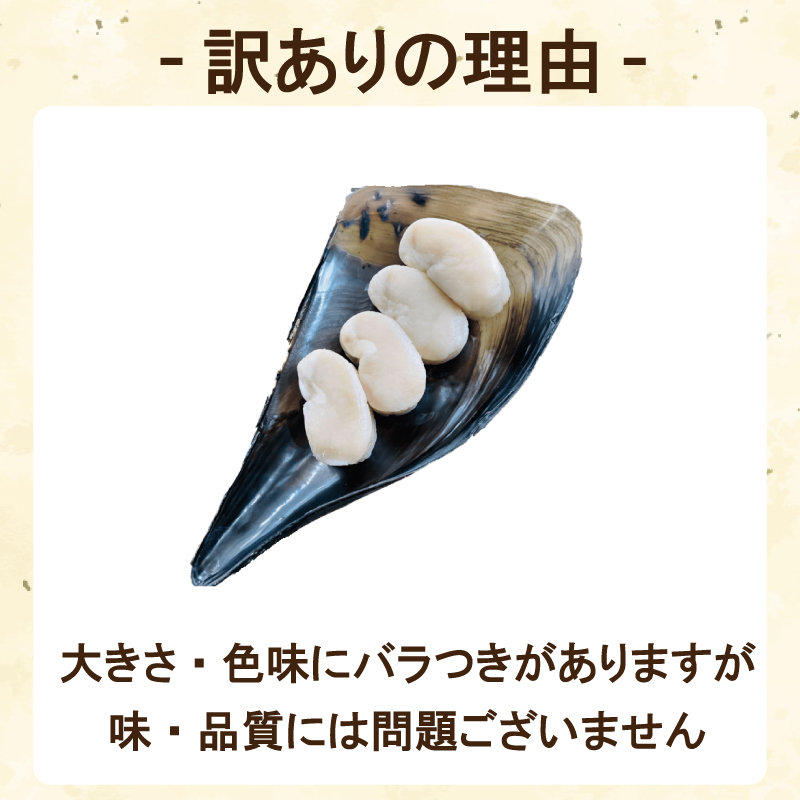 訳あり 平貝 （タイラギ） 4個入り(240~280g) 3パック 冷凍 海鮮 海産物 魚介 ごはん おかず おつまみ お酒 お供 おすすめ 人気 愛知県 南知多町