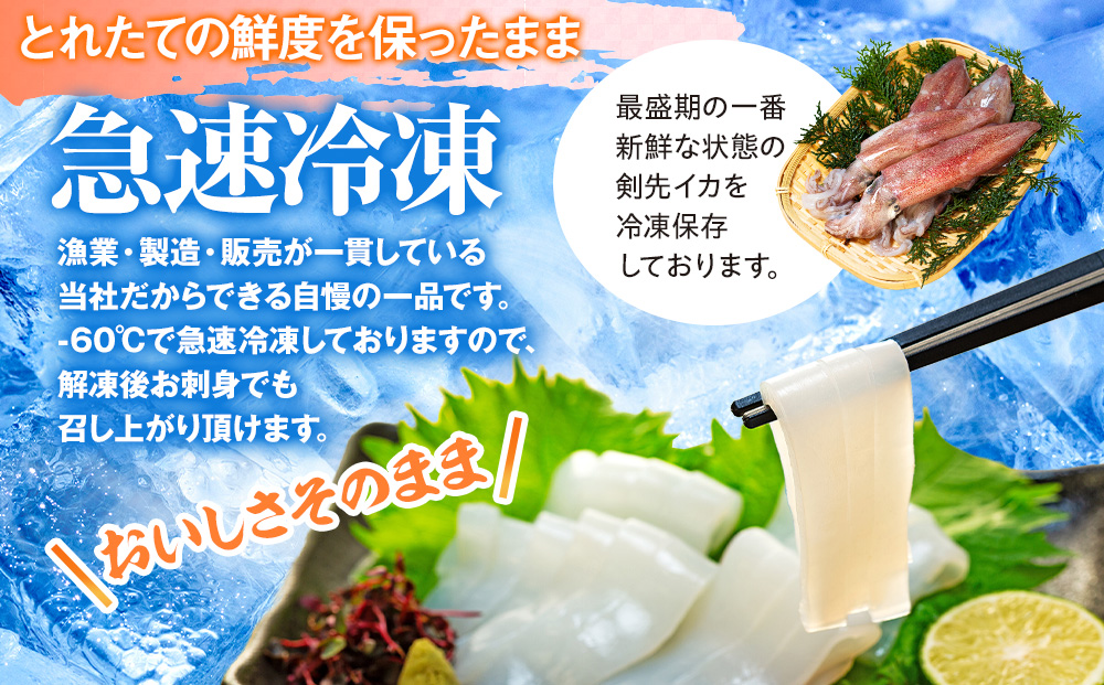 愛知県産　剣先イカ(アカイカ)3袋