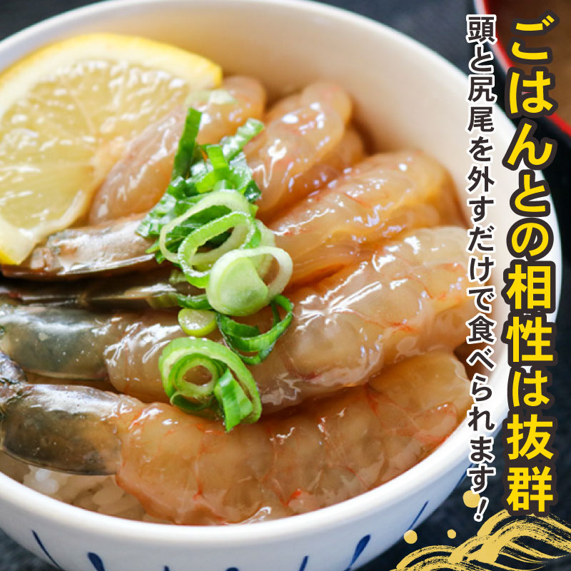  赤足海老 南知多カンジャンセウ 約150g×3袋 赤足海老の醤油漬け