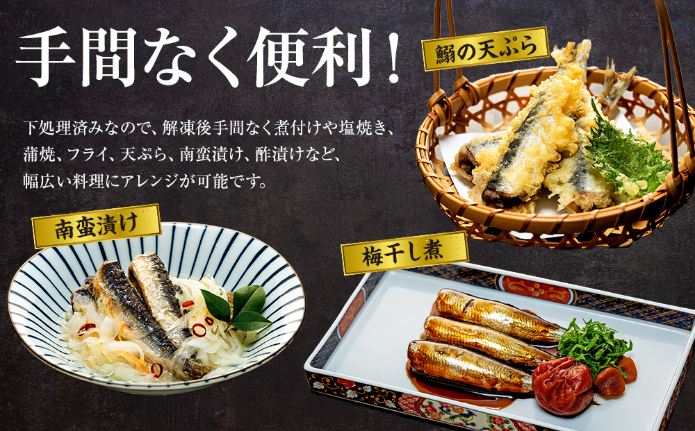 万能いわし 8匹 (約160g~180g) × 5袋 下処理済み