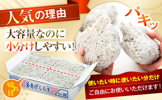 訳あり 釜揚げ しらす 1kg (1箱) 小分け 減塩 無添加 無着色 冷凍 愛知県 南知多町 ご飯 ごはん 丼 料理 国産 カネ成 シラス 人気 おすすめ