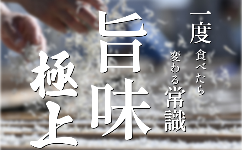 釜揚げしらす 500g(1箱) 冷凍 小分け 大容量 惣菜 弁当 便利 ランキング 減塩 無添加 無着色 ご飯 ごはん 丼 料理 国産 カネ成 シラス おつまみ お取り寄せ お取り寄せ サラダ グルメ 人気 おすすめ 愛知県 南知多町