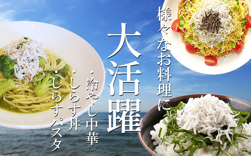 釜揚げしらす 1.5kg(500g×3箱) 冷凍 小分け 大容量 惣菜 弁当 便利 ランキング 減塩 無添加 無着色 ご飯 ごはん 丼 料理 国産 カネ成 シラス おつまみ お取り寄せ お取り寄せ サラダ グルメ 人気 おすすめ 愛知県 南知多町