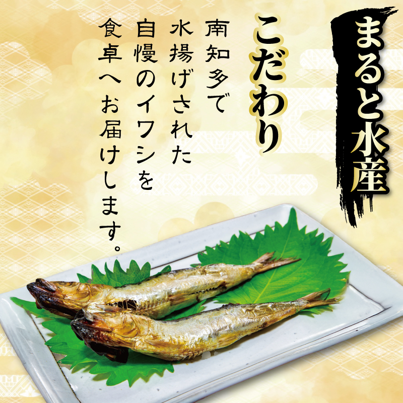 いわし 丸干し 訳あり 2kg イワシ いわし イワシ