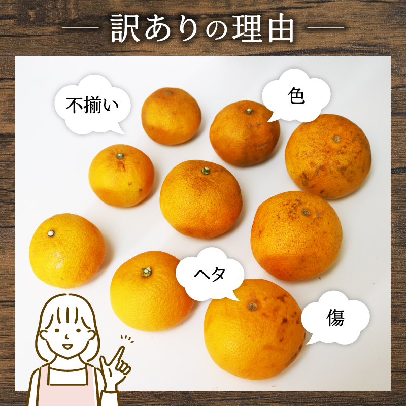 訳あり 八朔 約2kg 南知多町産 はっさく 愛知県