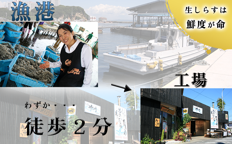 生しらす(お刺身) 400ｇ(100ｇ×4個) 岬だより