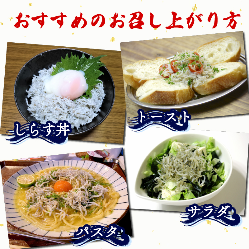 篠島 しらす干し 約1kg