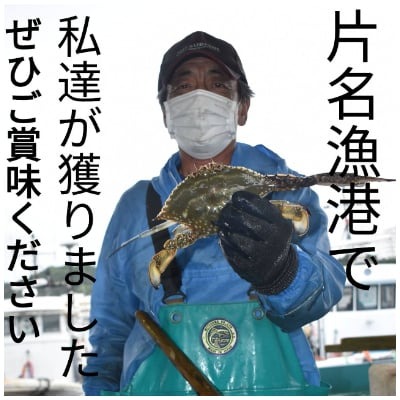 ワタリガニ 600g 2杯 冷凍 ボイルワタリガニ 渡り蟹 海鮮 新鮮 魚介 海の幸 海産物 シーフードエム・エム 愛知県 南知多町