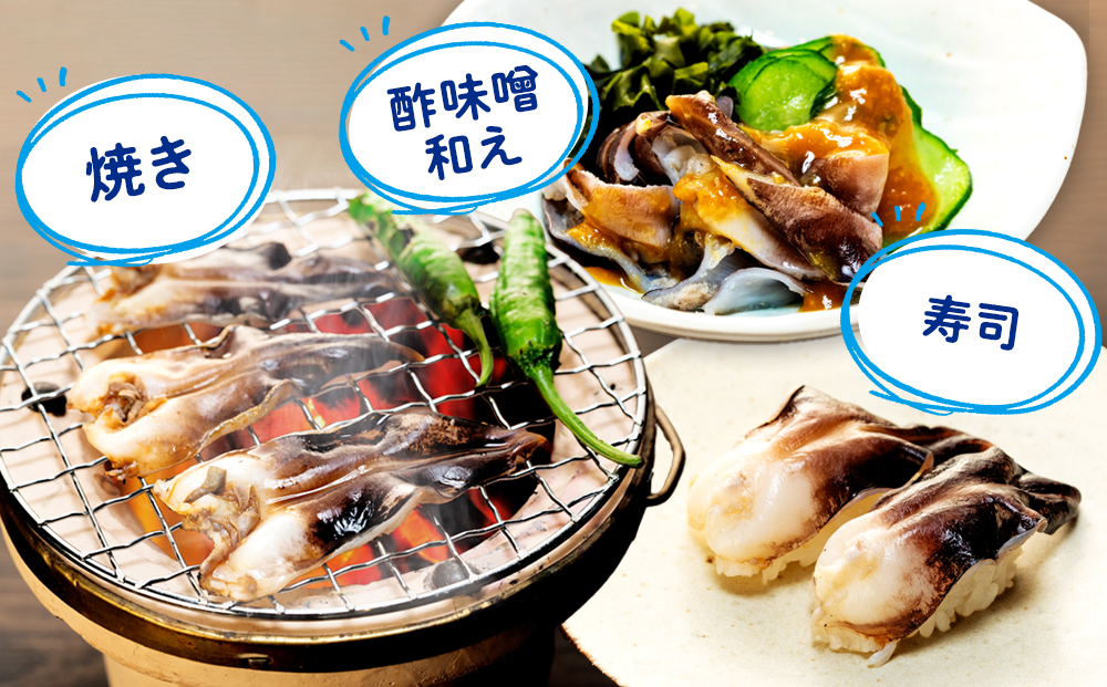 岬だよりの＜天然＞肉厚とり貝お刺身 とり貝＜特大9枚入り＞2セット