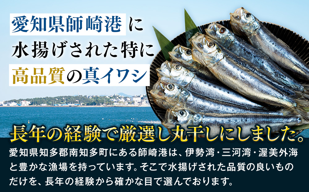 いわし 丸干し 24尾 ( 8尾 × 3 パック ) 干物 冷凍 小分け 愛知県 南知多町 ご飯 ごはん おかず おつまみ 魚 さかな 鰯 金鯱 イワシ 栄養 料理 国産 カネ成 人気 おすすめ