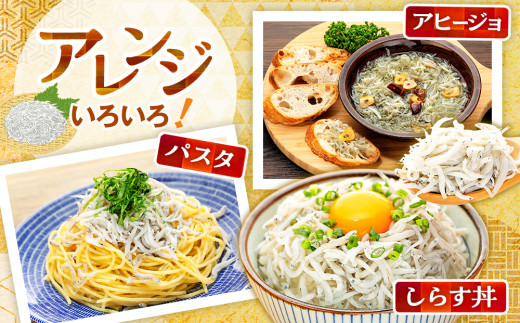 訳あり 釜揚げ しらす 1kg (1箱) 小分け 減塩 無添加 無着色 冷凍 愛知県 南知多町 ご飯 ごはん 丼 料理 国産 カネ成 シラス 人気 おすすめ