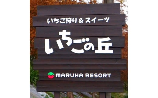 まるは食堂 マルハリゾート いちごの丘『いちご狩り』大人(中学生以上)1名様用招待券 いちご いちご狩り 章姫 かおり野 甘い 完熟 新鮮 穫れたて 香り豊か 自然