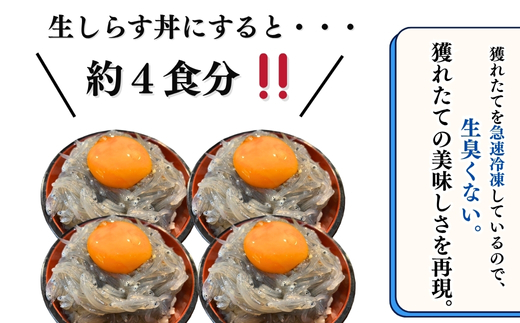 生しらす(お刺身) 400ｇ(100ｇ×4個) 岬だより