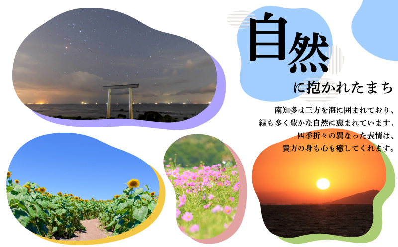 味付海苔 8本 島の香 味付け海苔 のり