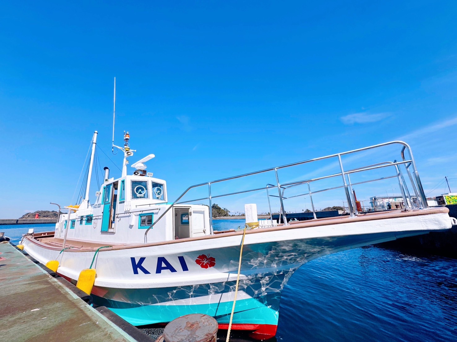 遊漁船 界 クーポン券 15,000円分 釣り船