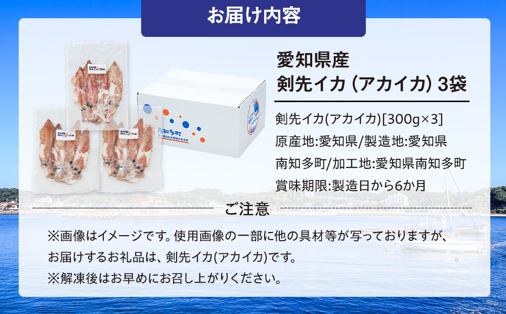 愛知県産　剣先イカ(アカイカ)3袋