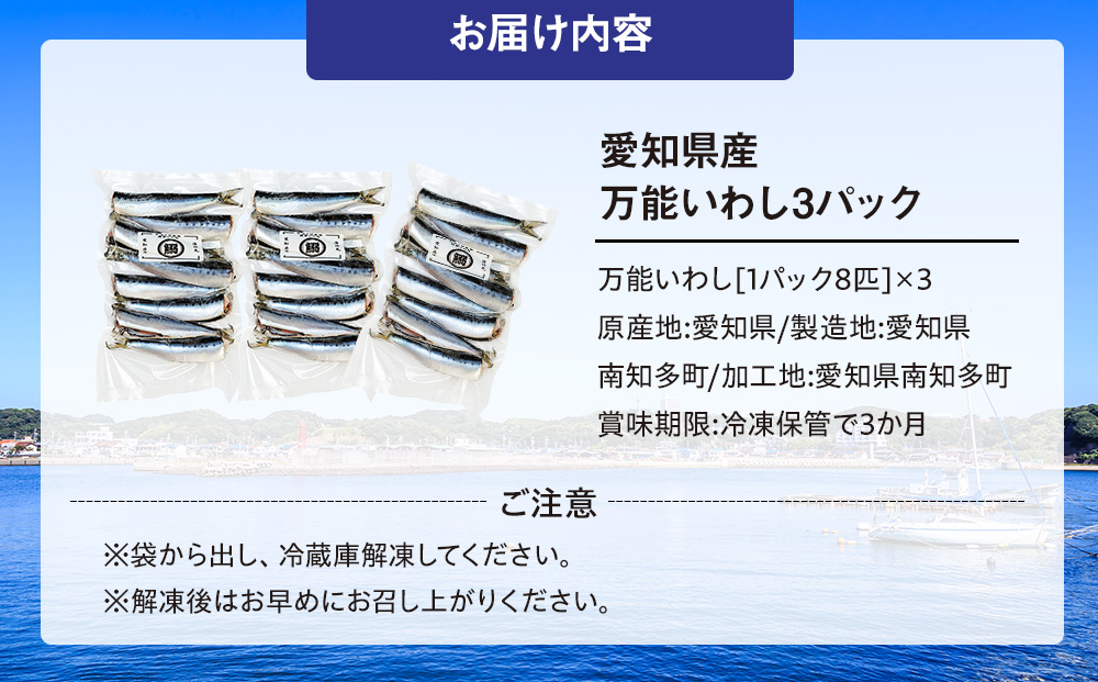 万能いわし 8匹 (約160g~180g) × 3袋 下処理済み