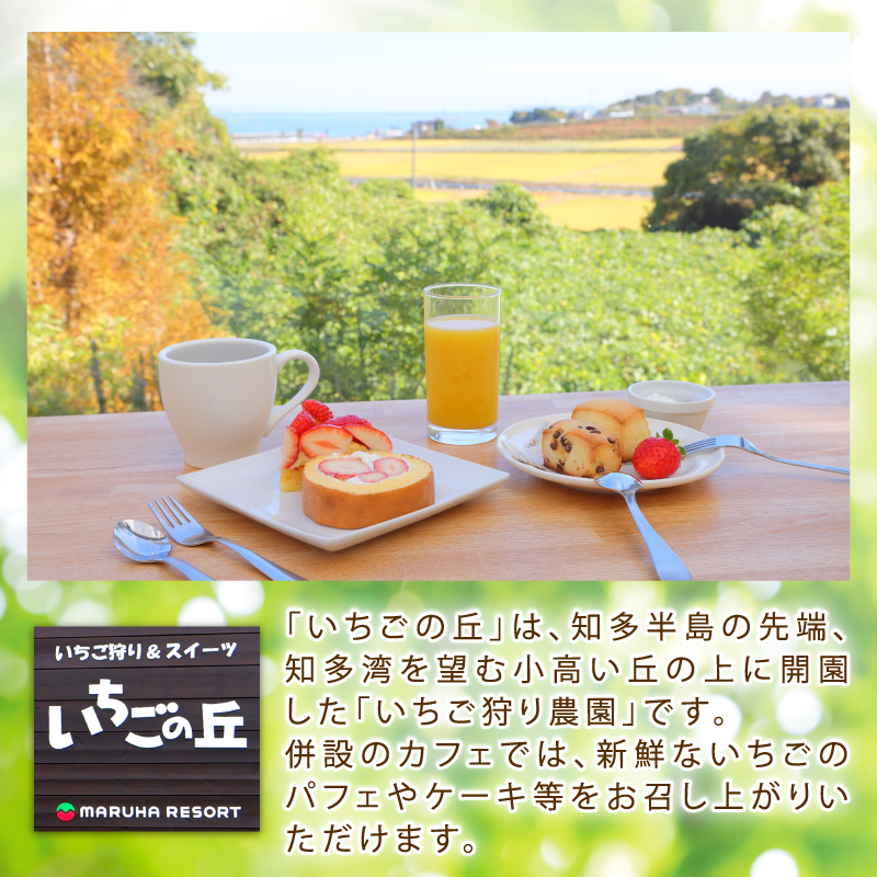 まるは食堂　マルハリゾート　いちごの丘の『 訳あり 』完熟冷凍いちご 1kg