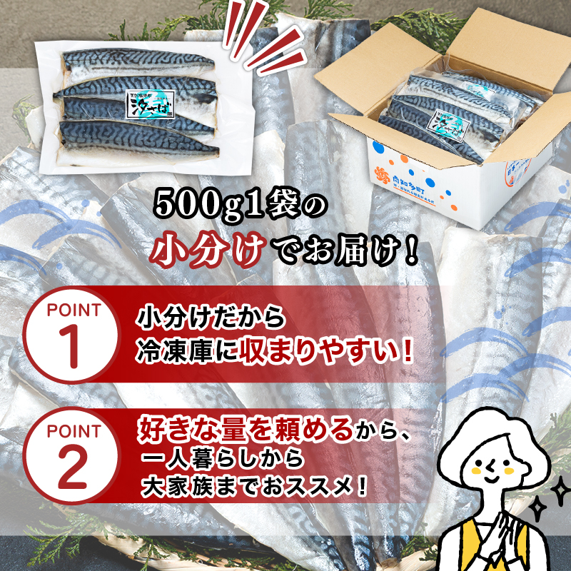 訳あり塩サバ フィレ500g