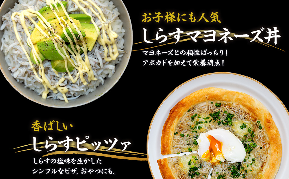 しらす 500g 訳あり 冷凍 ちりめん かちり しらす干し 減塩 極み ごはん 丼 パスタ チャーハン サラダ 魚 料理 山庄 愛知県 南知多町 師崎