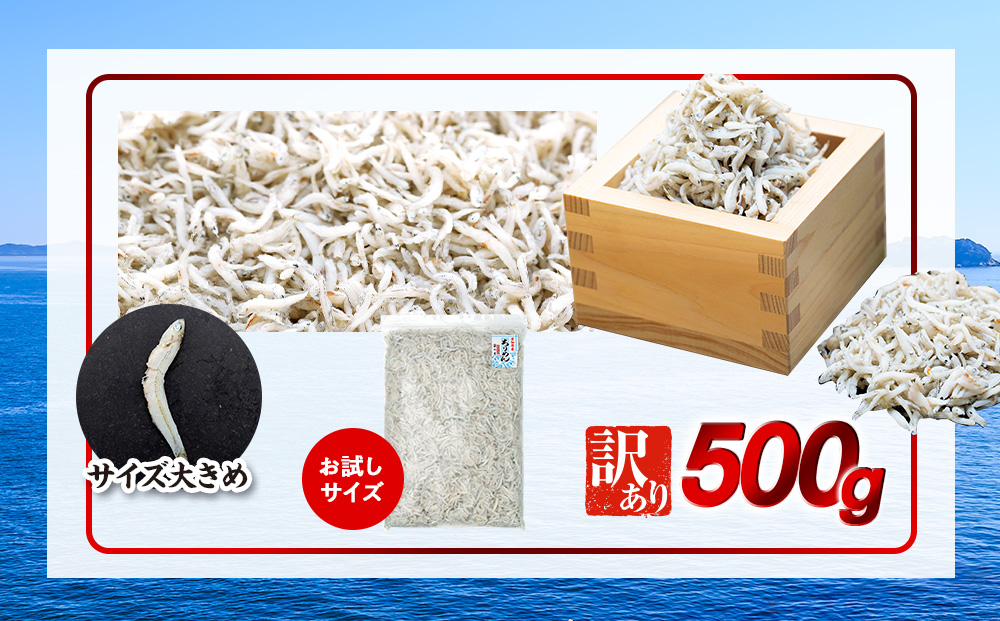 しらす 500g 訳あり 冷凍 ちりめん かちり しらす干し 減塩 極み ごはん 丼 パスタ チャーハン サラダ 魚 料理 山庄 愛知県 南知多町 師崎