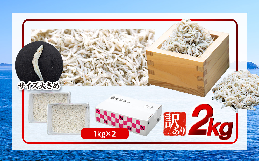 しらす 2kg ( 1kg × 2箱 ) 訳あり 冷凍 ちりめん かちり しらす干し 減塩 釜揚げ ごはん 丼 パスタ チャーハン サラダ 魚 料理 愛知県 南知多町 師崎
