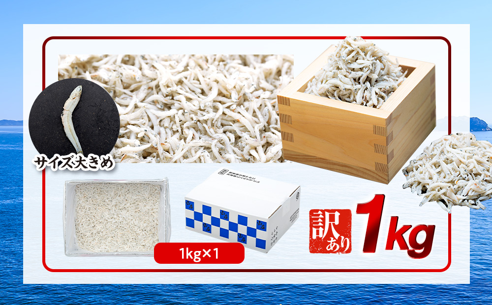 しらす 1kg 訳あり 冷凍 ちりめん かちり しらす干し 減塩 極み ごはん 丼 パスタ チャーハン サラダ 魚 料理 山庄 愛知県 南知多町 師崎