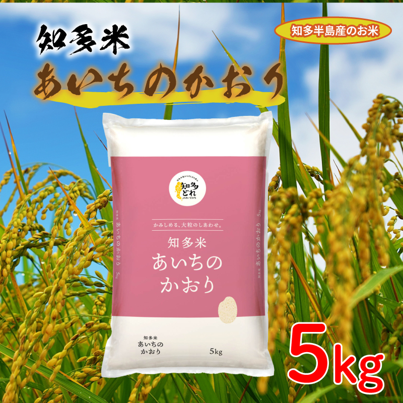 知多米 あいちのかおり 5kg 米 愛知  知多 特産品 南知多