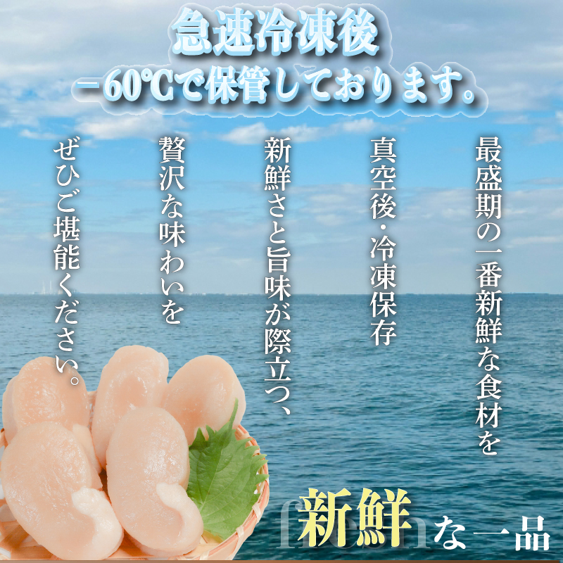 訳あり 平貝 （タイラギ） 4個入り(240~280g) 3パック 冷凍 海鮮 海産物 魚介 ごはん おかず おつまみ お酒 お供 おすすめ 人気 愛知県 南知多町