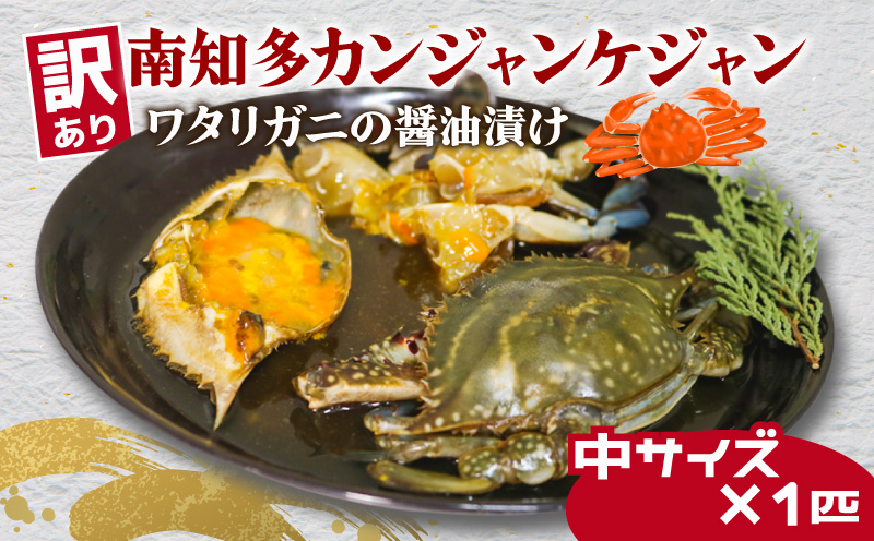 訳あり 南知多カンジャンケジャン カンジャンケジャン 中サイズ(130g~160g)×1匹 ワタリガニの醤油漬け
