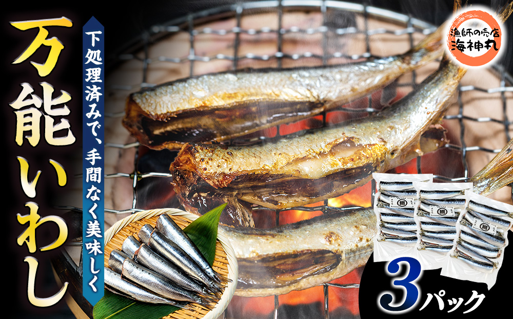 万能いわし 8匹 (約160g~180g) × 3袋 下処理済み